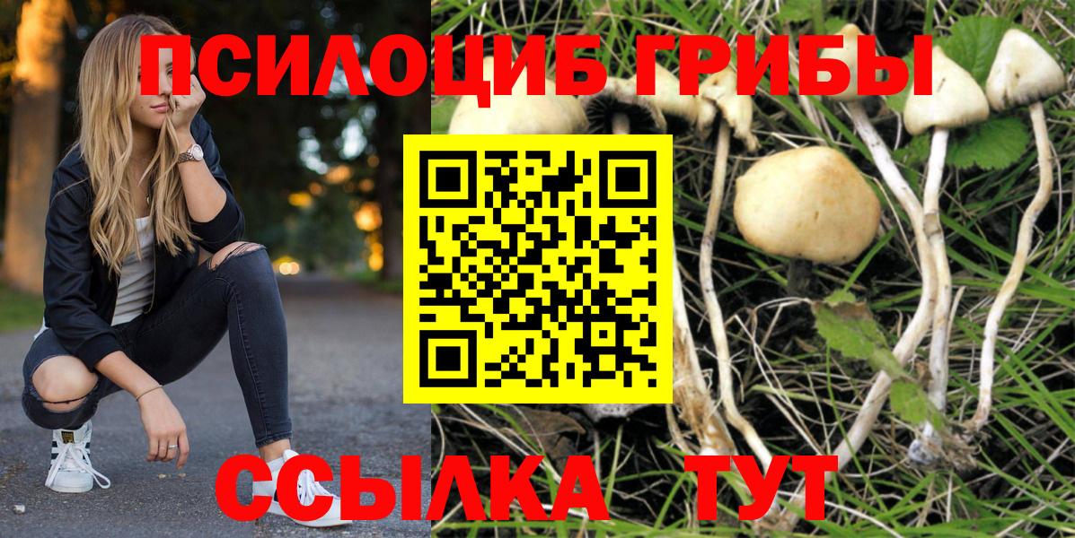 Псилоцибиновые грибы Magic Shrooms  Вход с VPN  Галлюциногенные грибы Psilocybe  Рязань 