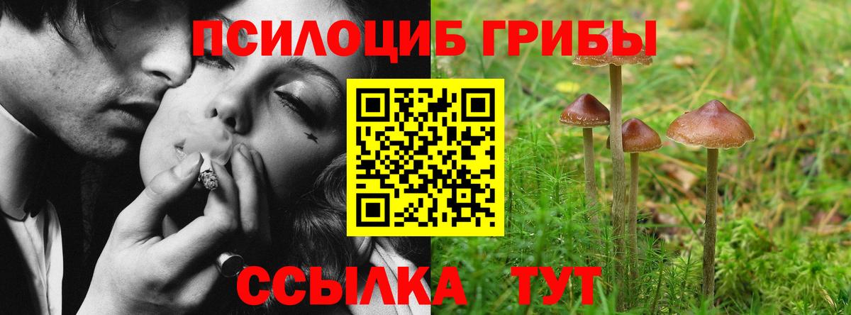 Галлюциногенные грибы мухоморы Рязань